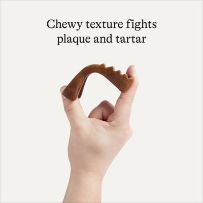 Show full view: American Journey Grain-Free Large Dental Dog Treats Mint Flavor, 8 count slide 5 of 10