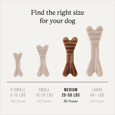 Show full view: American Journey Grain-Free Medium Dental Dog Treats Mint Flavor, 36 count slide 8 of 10