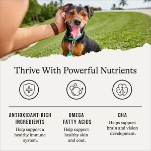 American Journey Grain-Free Puppy Chicken & Sweet Potato Recipe Dry Dog Food, 24-lb bag
