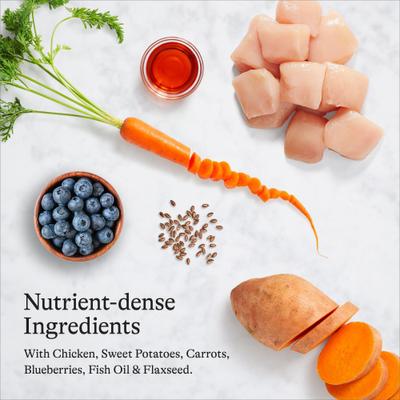 Show full view: American Journey Grain-Free Puppy Chicken & Sweet Potato Recipe Dry Dog Food, 24-lb bag slide 7 of 12