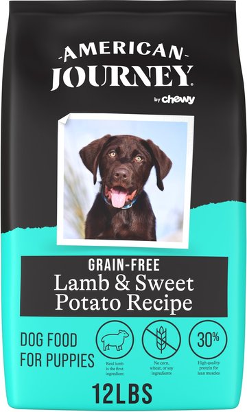 no grain puppy food