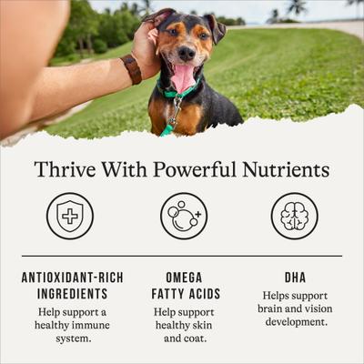 Show full view: American Journey Grain-Free Puppy Lamb & Sweet Potato Recipe Dry Dog Food, 24-lb bag slide 6 of 12