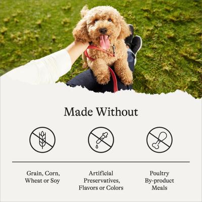 Show full view: American Journey Grain-Free Puppy Lamb & Sweet Potato Recipe Dry Dog Food, 24-lb bag slide 8 of 12