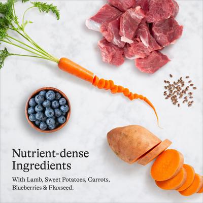 Show full view: American Journey Grain-Free Puppy Lamb & Sweet Potato Recipe Dry Dog Food + Beef Recipe Grain-Free Soft & Chewy Training Bits Dog Treats slide 5 of 9