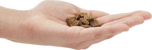 Show full view: American Journey Grain-Free Puppy Lamb & Sweet Potato Recipe Dry Dog Food + Beef Recipe Grain-Free Soft & Chewy Training Bits Dog Treats slide 9 of 9