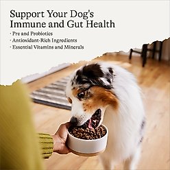 American Journey Grain-Free Salmon & Sweet Potato Recipe Dry Dog Food, 12-lb bag slide 2 of 9