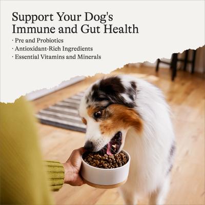 Show full view: American Journey Grain-Free Salmon & Sweet Potato Recipe Dry Dog Food, 12-lb bag slide 4 of 12