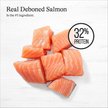 Show in main carousel: American Journey Grain-Free Salmon & Sweet Potato Recipe Dry Dog Food, 24-lb bag slide 5 of 12