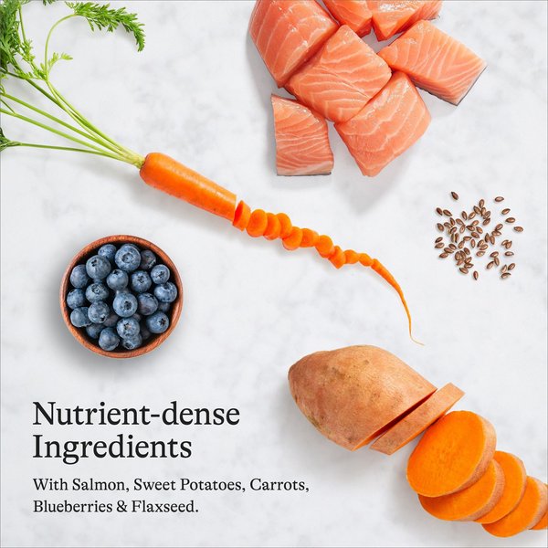 Show full view: American Journey Grain-Free Salmon & Sweet Potato Recipe Dry Dog Food, 24-lb bag slide 7 of 12