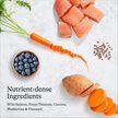 Show in main carousel: American Journey Grain-Free Salmon & Sweet Potato Recipe Dry Dog Food, 24-lb bag slide 7 of 12