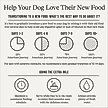 Show in main carousel: American Journey Grain-Free Salmon & Sweet Potato Recipe Dry Dog Food, 24-lb bag slide 9 of 12