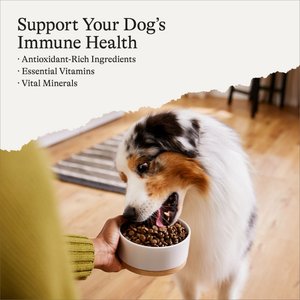 American Journey Grain-Free Senior Chicken & Sweet Potato Recipe Dry Dog Food, 24-lb bag