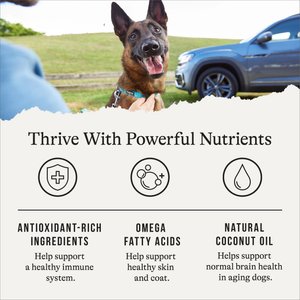 American Journey Grain-Free Senior Chicken & Sweet Potato Recipe Dry Dog Food, 24-lb bag