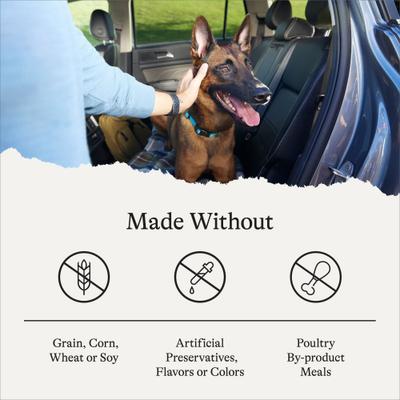 Show full view: American Journey Grain-Free Senior Chicken & Sweet Potato Recipe Dry Dog Food, 24-lb bag slide 8 of 12