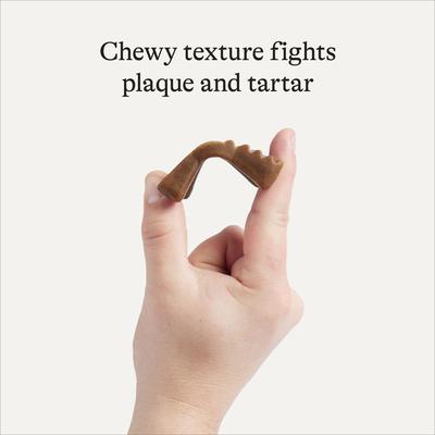 Show full view: American Journey Grain-Free Small Dental Dog Treats Mint Flavor, 120 count slide 5 of 11