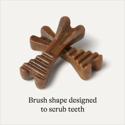 Show full view: American Journey Grain-Free Small Dental Dog Treats Mint Flavor, 60 count slide 6 of 10