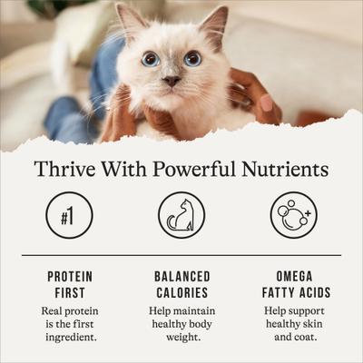 Show full view: American Journey Indoor Minced Chicken Recipe in Gravy Grain-Free Canned Cat Food, 5.5-oz can, case of 24 slide 7 of 11