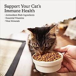 American Journey Indoor Recipe with Chicken Grain-Free Dry Cat Food, 12-lb bag slide 2 of 9