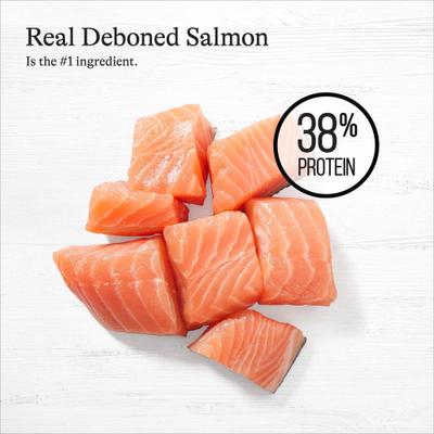 Show full view: American Journey Indoor Recipe with Salmon Grain-Free Dry Cat Food, 24-lb bundle  slide 6 of 11