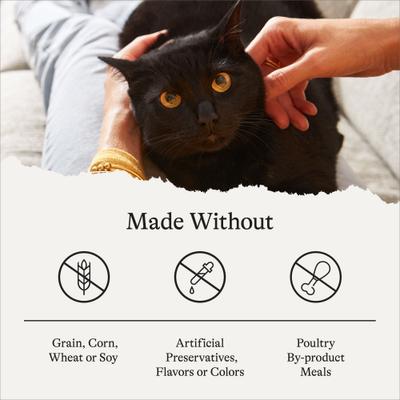 Show full view: American Journey Indoor Recipe with Salmon Grain-Free Dry Cat Food, 24-lb bundle  slide 9 of 11