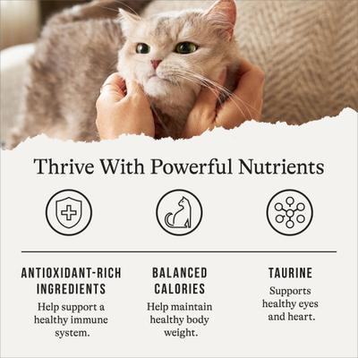 Show full view: American Journey Indoor Recipe with Salmon Grain-Free Dry Cat Food, 36-lb bundle  slide 7 of 11