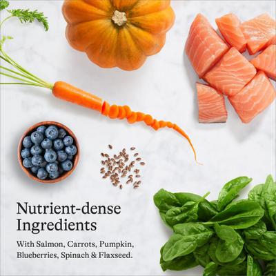 Show full view: American Journey Indoor Recipe with Salmon Grain-Free Dry Cat Food, 36-lb bundle  slide 8 of 11