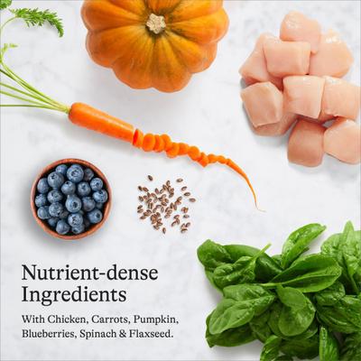 Show full view: American Journey Kitten Chicken Recipe Grain-Free Dry Cat Food, 5-lb bag + American Journey Kitten Minced Chicken Recipe in Gravy Grain-Free Canned Cat Food, 3-oz, case of 24 slide 9 of 9