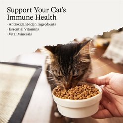 American Journey Kitten Chicken Recipe Grain-Free Dry Cat Food, 5-lb bag slide 2 of 9