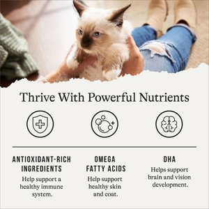 American Journey Kitten Chicken Recipe Grain-Free Dry Cat Food, 5-lb bag