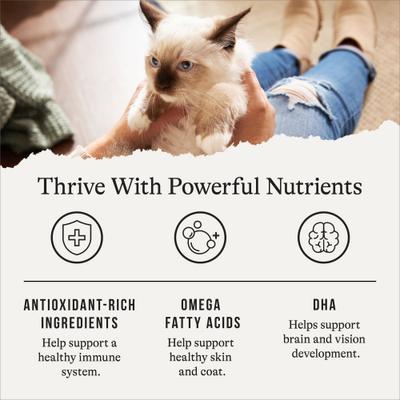 Show full view: American Journey Kitten Chicken Recipe Grain-Free Dry Cat Food, 5-lb bag slide 6 of 11