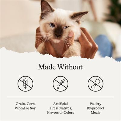 Show full view: American Journey Kitten Chicken Recipe Grain-Free Dry Cat Food, 5-lb bag slide 8 of 11