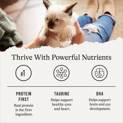 Show full view: American Journey Kitten Pate Chicken Recipe Grain-Free Canned Cat Food, 3-oz can, case of 24 slide 7 of 11