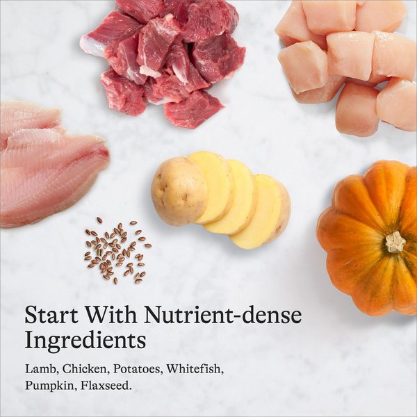 Nutro Puppy Premium Loaf Tender Lamb & Potato Recipe Grain-Free Canned Dog Food