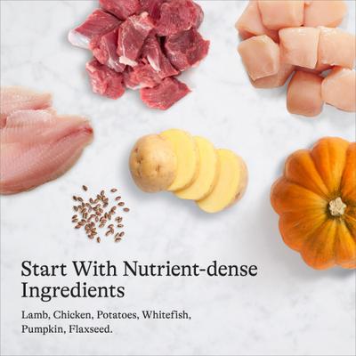 Show full view: American Journey Premium Loaf Lamb Recipe Grain-Free Canned Dog Food, 12.5-oz can, case of 12 slide 8 of 11