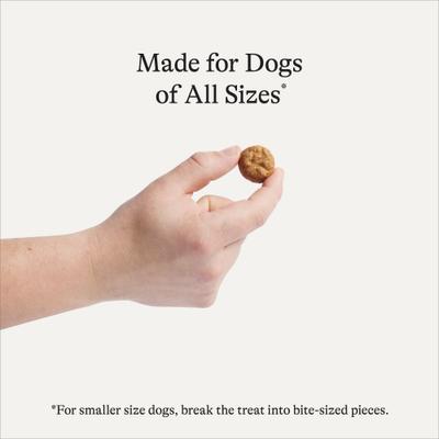 Show full view: American Journey Lamb Recipe Grain-Free Oven Baked Crunchy Biscuit Dog Treats, 8-oz bag slide 4 of 10