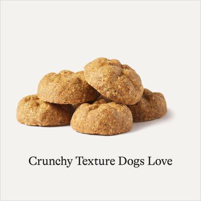 Show full view: American Journey Lamb Recipe Grain-Free Oven Baked Crunchy Biscuit Dog Treats, 8-oz bag slide 6 of 10