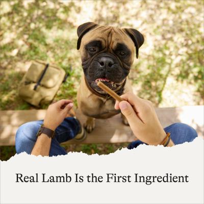 Show full view: American Journey Lamb Recipe Grain-Free Soft & Chewy Snacking Sticks Dog Treats, 6-oz bag slide 5 of 11