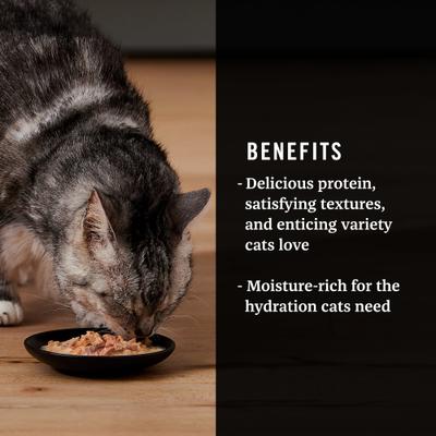 Show full view: American Journey Landmark Broths Salmon, Tomatoes & Kale Recipe Wet Cat Food Complement Pouches, 1.4-oz case of 16 slide 5 of 11