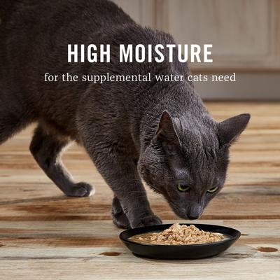 Show full view: American Journey Landmark Chicken & Turkey Recipe in Broth Grain-Free Canned Cat Food, 3-oz can, bundle of 24  slide 6 of 12