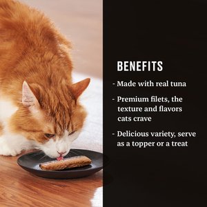 American Journey Landmark Tuna Fillets Cat Food Toppers, 1.06-oz, pack of 10