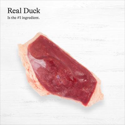 Show full view: American Journey Limited Ingredient Diet Premium Loaf Duck & Sweet Potato Recipe Grain-Free Canned Dog Food, 12.5-oz can, case of 12 slide 6 of 12