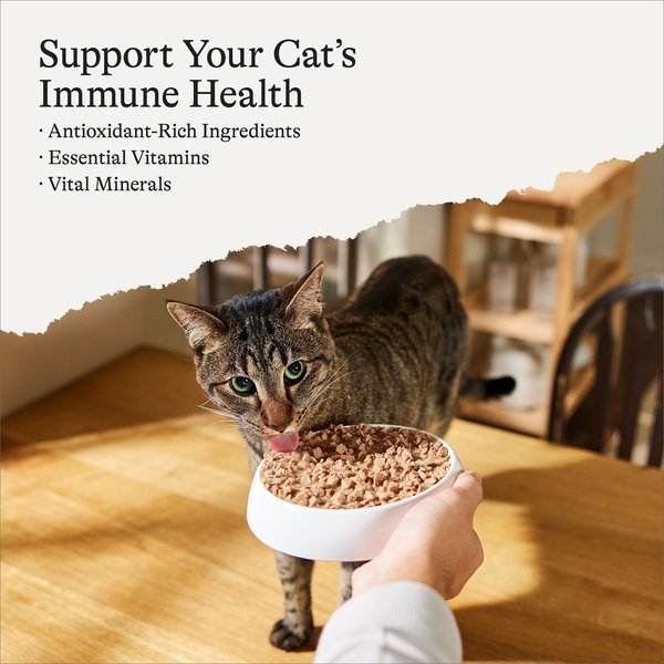 Show full view: American Journey Minced Chicken Recipe in Gravy Grain-Free Canned Cat Food, 3-oz can, case of 24 slide 5 of 11