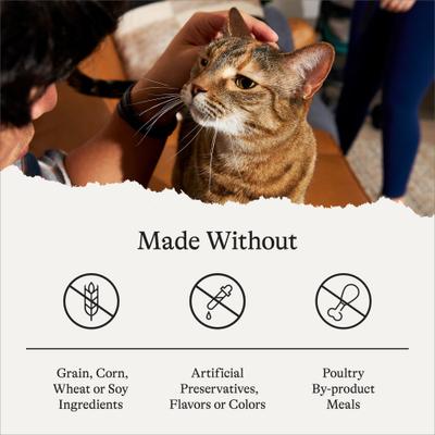 Show full view: American Journey Minced Chicken Recipe in Gravy Grain-Free Canned Cat Food, 5.5-oz can, case of 24 slide 9 of 11