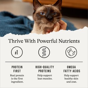 American Journey Minced Poultry & Seafood in Gravy Variety Pack Grain-Free Canned Cat Food, 5.5-oz can, case of 24