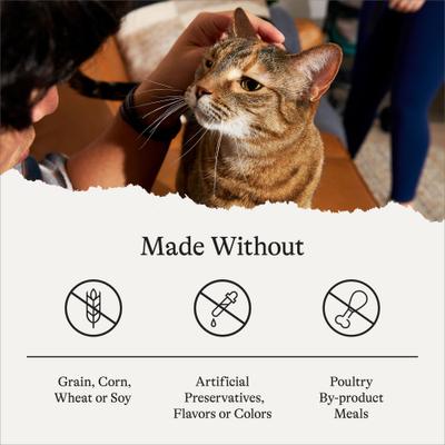 Show full view: American Journey Minced Salmon & Tuna Recipe in Gravy Grain-Free Canned Cat Food, 3-oz can, case of 24 slide 9 of 11