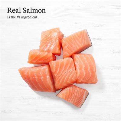 Show full view: American Journey Minced Salmon & Tuna Recipe in Gravy Grain-Free Canned Cat Food, 3-oz can, case of 4 slide 6 of 11