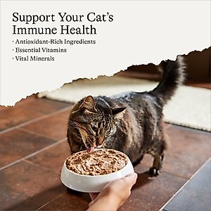 American Journey Pate Senior Wet Cat Food Variety Pack, 3-oz can, case of 24