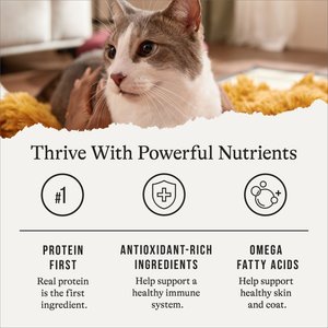 American Journey Pate Senior Wet Cat Food Variety Pack, 3-oz can, case of 24