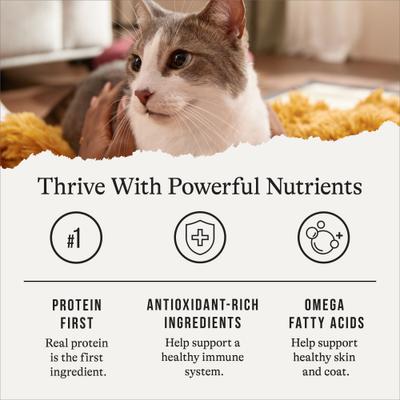 Show full view: American Journey Pate Senior Wet Cat Food Variety Pack, 3-oz can, case of 24 slide 6 of 11