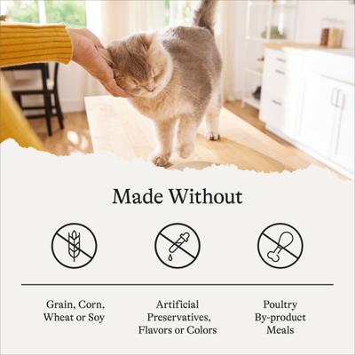 Show full view: American Journey Pate Senior Wet Cat Food Variety Pack, 3-oz can, case of 24 slide 7 of 11